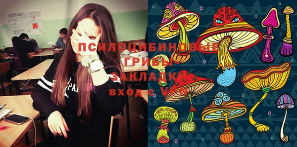 метадон Арсеньев