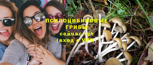 метадон Арсеньев