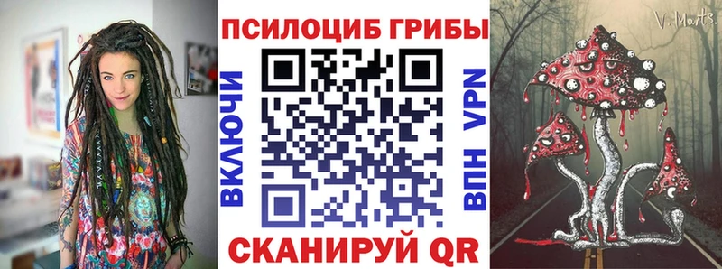 сколько стоит  mega ССЫЛКА  Псилоцибиновые грибы мухоморы  Подпорожье 